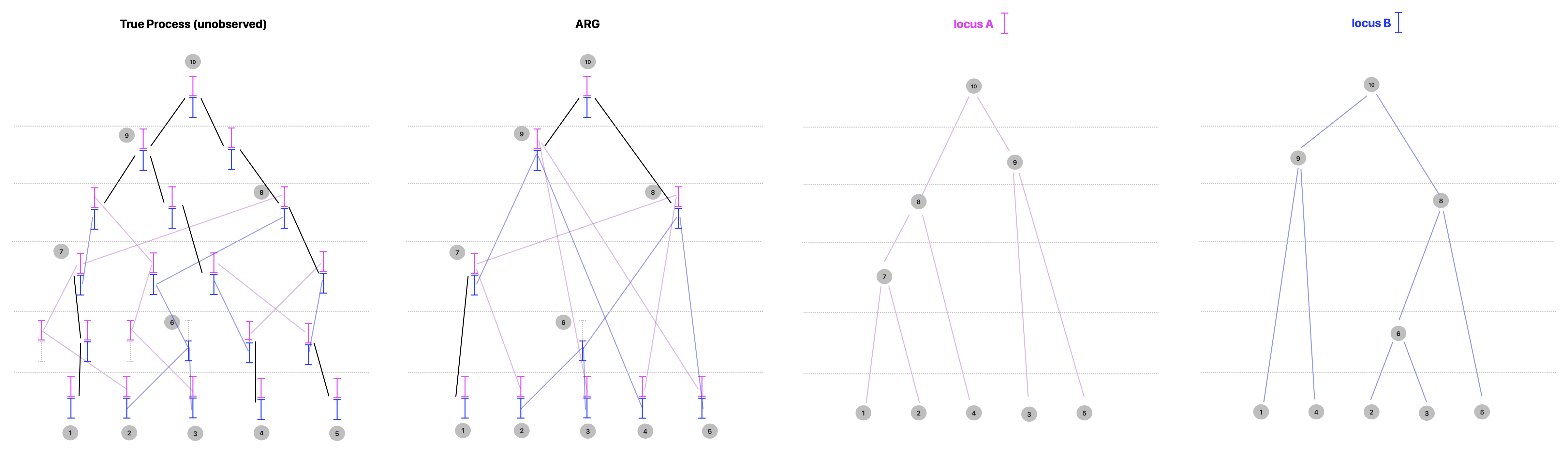 arg_twolocus